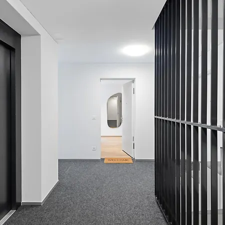 Bliv Design-apartment Mit Parkplatz, Nahe Zentrum 圣加仑